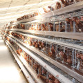 good quality best selling new design poultry farm design